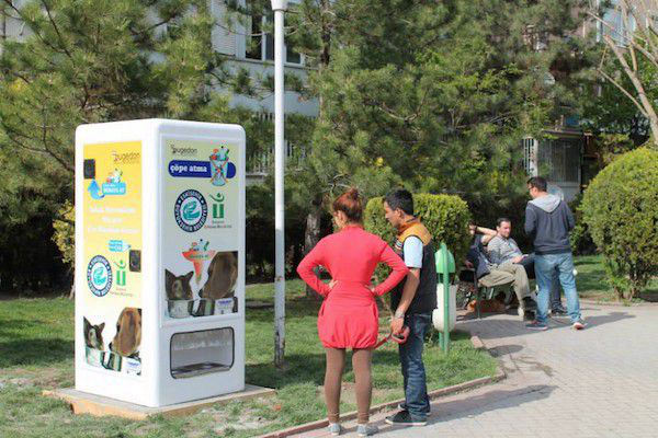 New eco-friendly vending machine provides food for stray cats and dogs