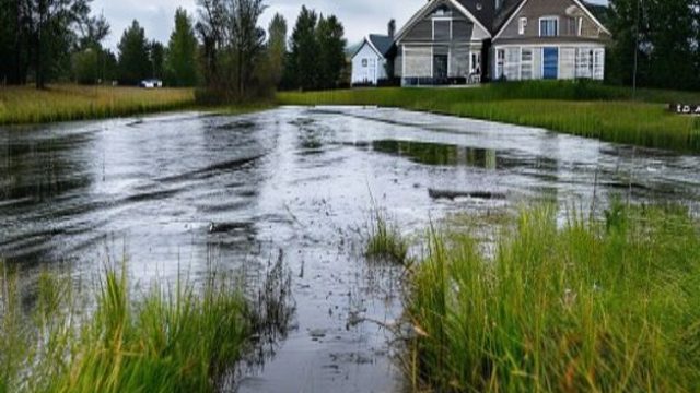 Kenora Weather Update: Rainy Days Ahead for Lake of the Woods | download zaltv, 