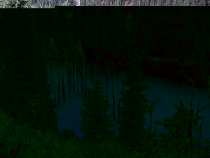 8 unique forests, like from an alien planet - top emoticon